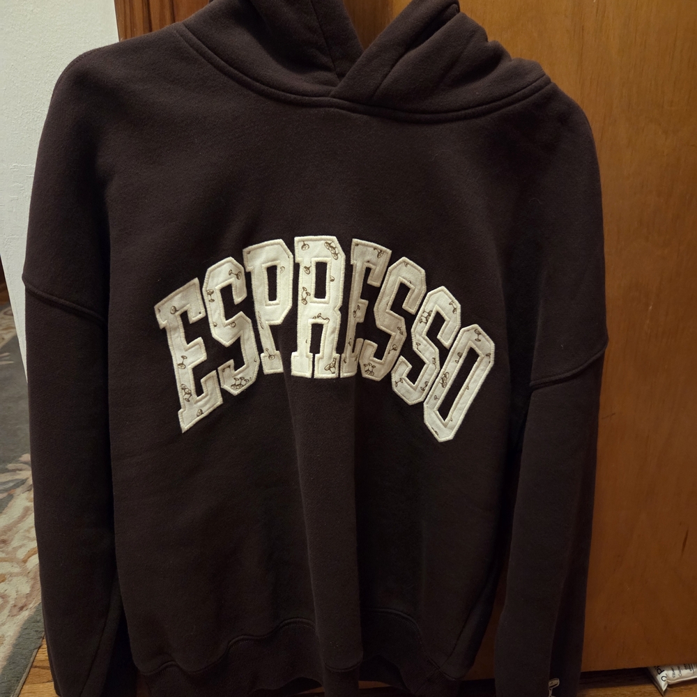 Abercrombie & Fitch Expresso Sunday Hoodie- Size Medium
